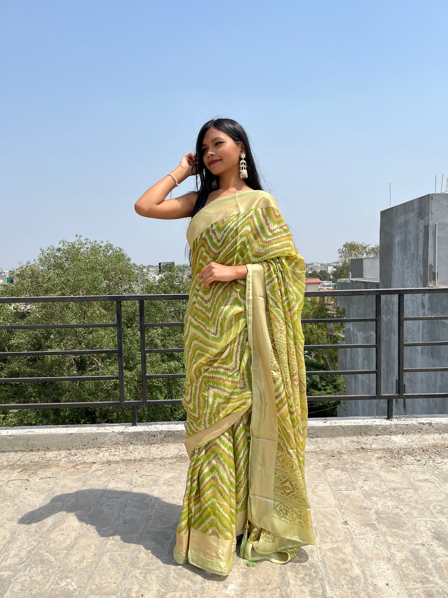 Green Soft Georgette Brasso Print Saree